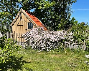 Verblijf 2619301 - Vakantiewoning Het Friese platteland - Vakantiehuisje in Peins
