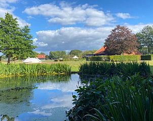 Natuurrijke omgeving van Vakantiehuis in De Hoeve, gelegen in Friesland met vijver.