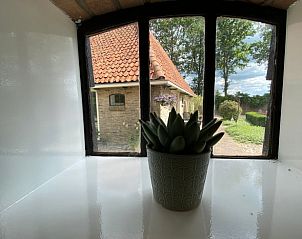 Uitzicht vanuit Vakantiehuis in De Hoeve op een charmante binnenplaats in Friesland.