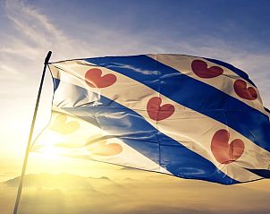 Friese vlag wapperend in de zon bij Vakantiehuis in De Hoeve, gelegen in Friesland.