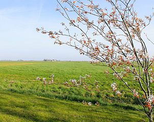 Unterkunft 2620103 - Ferienhaus Het Friese platteland - Vakantiehuisje in Tjerkgaast