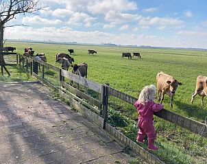 Verblijf 2620106 - Vakantiewoning Het Friese platteland - Grutto
