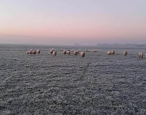 Verblijf 2620106 - Vakantiewoning Het Friese platteland - Grutto