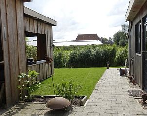 Rustieke tuinomgeving bij Vakantiehuisje in Tersoal, Friesland, met groene natuur en landelijke sfeer.