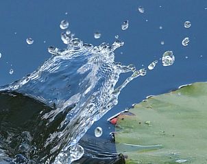 Spattend water in de vijver van Huisje in Tersoal, vakantiehuis in Friesland.