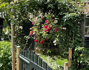 Unterkunft 2620501 - Ferienhaus Het Friese platteland - Vakantiehuisje in Boornbergum