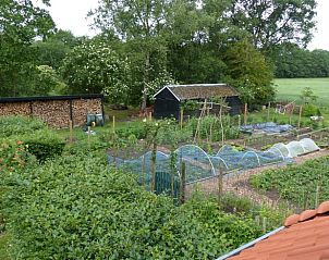 Unterkunft 2620501 - Ferienhaus Het Friese platteland - Vakantiehuisje in Boornbergum
