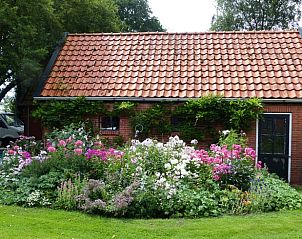 Unterkunft 2620501 - Ferienhaus Het Friese platteland - Vakantiehuisje in Boornbergum