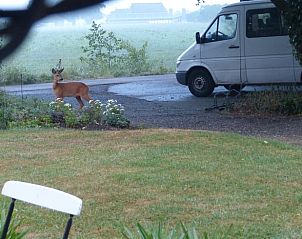 Unterkunft 2620501 - Ferienhaus Het Friese platteland - Vakantiehuisje in Boornbergum