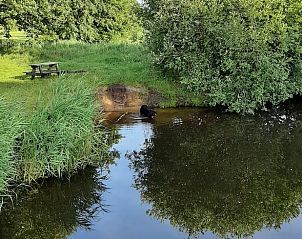 Verblijf 2620701 - Vakantiewoning Het Friese platteland - Vakantiehuisje in De Knipe