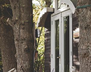 Verblijf 2620801 - Vakantiewoning Het Friese platteland - Vakantiehuis in Nieuwehorne