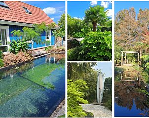 Guest house 2621003 - Holiday property Het Friese platteland - Huisje in Bontebok