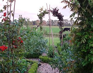Prachtige tuin bij Vakantiehuisje in Gytsjerk met weids uitzicht over het Friese platteland.