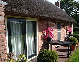 Gezellig terras bij Vakantiehuisje in Gytsjerk met kleurrijke bloemen en groene omgeving.
