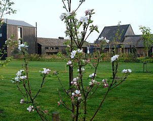Bloesem in de tuin van Vakantiehuisje in Gytsjerk met uitzicht op het Friese platteland.