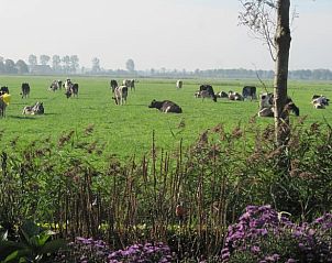 Unterkunft 2621601 - Ferienhaus Het Friese platteland - Huisje in Readtsjerk (Roodkerk)