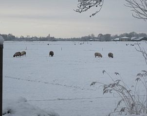 Unterkunft 2621601 - Ferienhaus Het Friese platteland - Huisje in Readtsjerk (Roodkerk)