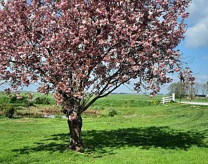 Verblijf 2621901 - Vakantiewoning Het Friese platteland - Huisje in Oldelamer