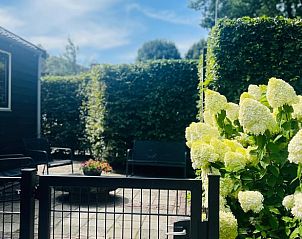 Guest house 2622002 - Holiday property Het Friese platteland - Vakantiehuisje in Tytsjerk