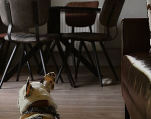 Guest house 2622002 - Holiday property Het Friese platteland - Vakantiehuisje in Tytsjerk