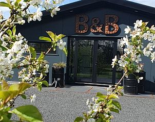 Guest house 2622004 - Holiday property Het Friese platteland - Vakantiehuis in Tytsjerk