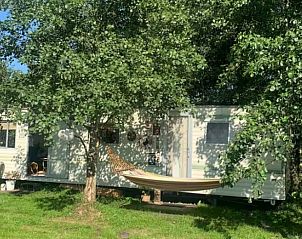 Unterkunft 262405 - Ferienhaus Het Friese platteland - Huisje in Augustinusga