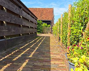 Verblijf 262504 - Bed and breakfast Het Friese platteland - Vakantiehuis in Ternaard