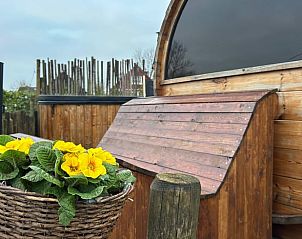 Verblijf 262506 - Vakantiewoning Het Friese platteland - Vakantiehuis in Ternaard
