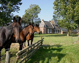 Guest house 262601 • Bed and Breakfast Het Friese platteland • Logement Doosje 