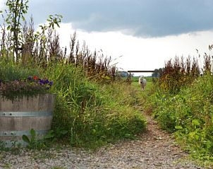 Prachtige natuur en wandelpad rondom Logement Doosje, bed and breakfast in Warfstermolen, Friesland.
