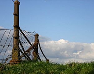 Authentiek hekwerk omgeven door grasland bij Logement Doosje, bed and breakfast in Warfstermolen.