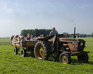 Speeltuin voor kinderen bij vakantiehuis FR290 in Sint Annaparochie, Friesland.