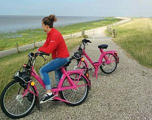 Kinderen vissen langs de waterkant bij vakantiehuis FR290 in Sint Annaparochie, Friesland.