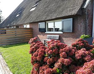 Verblijf 263002 - Vakantiewoning Het Friese platteland - Vakantiehuisje in Holwerd