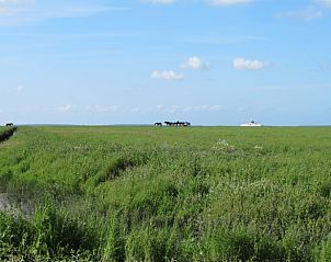 Verblijf 263004 - Vakantiewoning Het Friese platteland - Vakantiehuisje in Holwerd