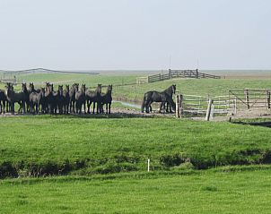 Verblijf 263004 - Vakantiewoning Het Friese platteland - Vakantiehuisje in Holwerd