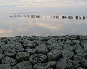 Verblijf 263004 - Vakantiewoning Het Friese platteland - Vakantiehuisje in Holwerd