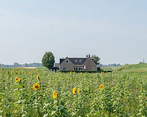 Verblijf 263006 • Vakantiewoning Het Friese platteland • Vakantiehuis in Holwerd 