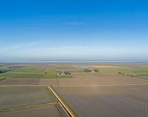 Verblijf 263008 - Vakantiewoning Het Friese platteland - Vakantiehuis in Holwerd