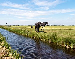 Verblijf 263008 - Vakantiewoning Het Friese platteland - Vakantiehuis in Holwerd