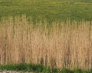 Verblijf 263009 - Vakantiewoning Het Friese platteland - Vakantiehuis in Holwerd