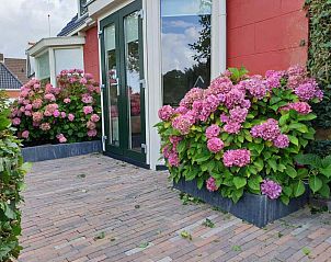 Verblijf 263010 - Vakantiewoning Het Friese platteland - FR1023