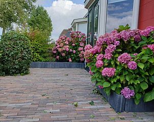 Verblijf 263010 - Vakantiewoning Het Friese platteland - FR1023