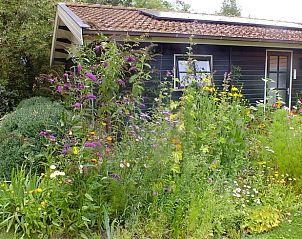 Verblijf 263403 • Vakantiewoning Het Friese platteland • Huisje in Idsegahuizum (Makkum) 
