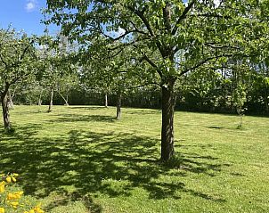 Verse appels geplukt in de tuin van Vakantiehuis in De Tike, een authentiek Friese ervaring.