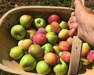 Prachtig natuurpad rondom Vakantiehuis in De Tike, perfect voor wandelingen in Friesland.