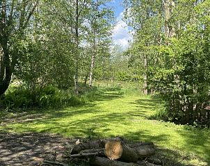 Avondkampvuur bij Vakantiehuis in De Tike, geniet van een gezellige avond in Friesland.