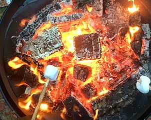 Schitterend uitzicht op de vijver bij Vakantiehuis in De Tike, een natuurrijke omgeving in Friesland.