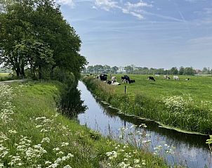 Verblijf 263602 - Vakantiewoning Het Friese platteland - Vakantiehuis in De Tike