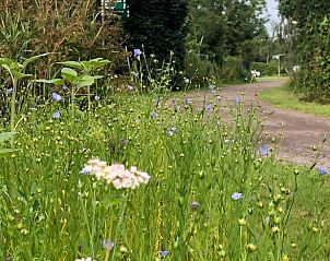 Unterkunft 263803 - Ferienhaus Het Friese platteland - Huisje in Damwald
